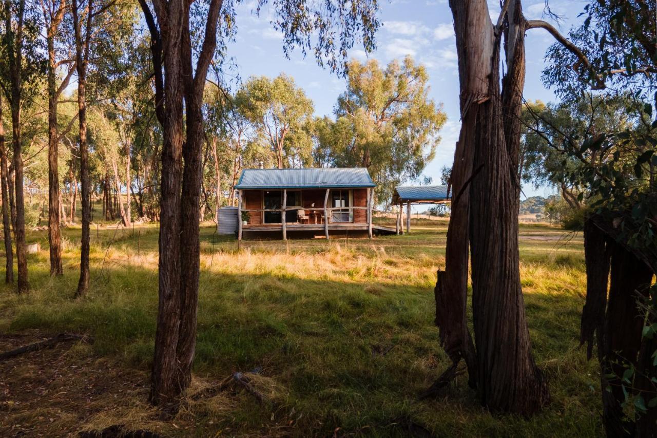 Gaddleen Grove Cottagesウォドンガ エクステリア 写真