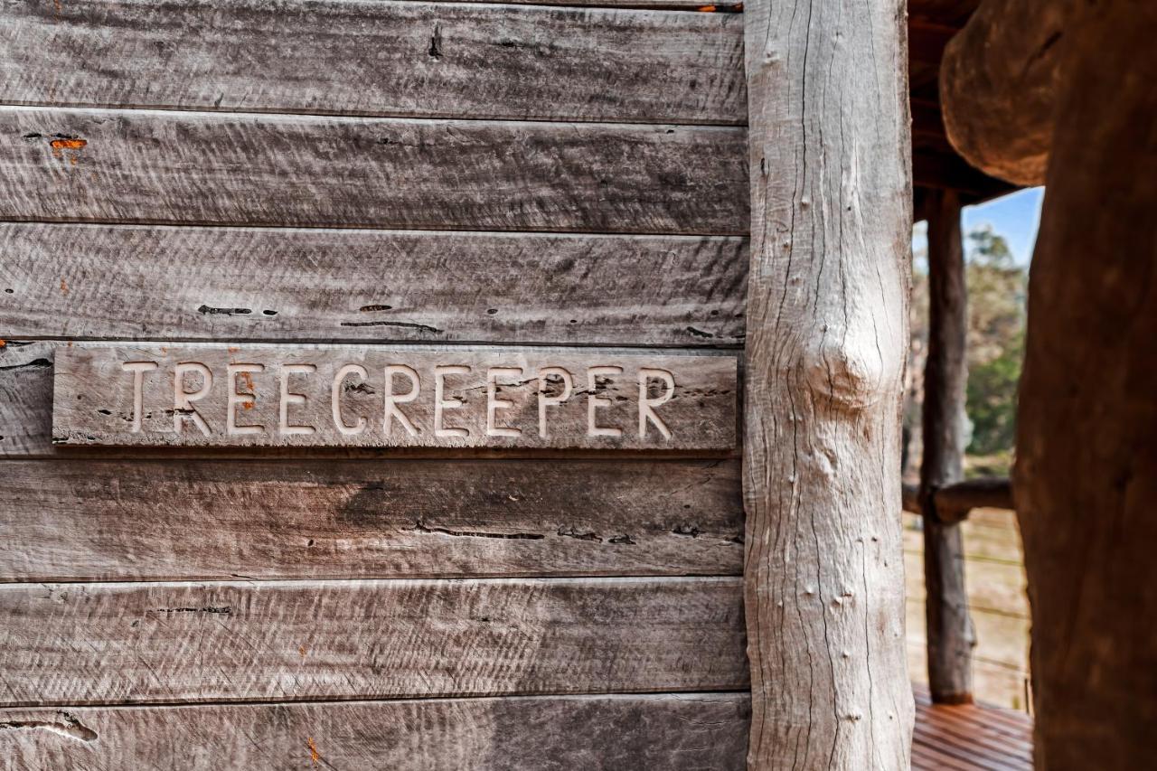 Gaddleen Grove Cottagesウォドンガ エクステリア 写真